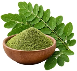 Moringa — ingrediente de {{OFFER_NAME}}